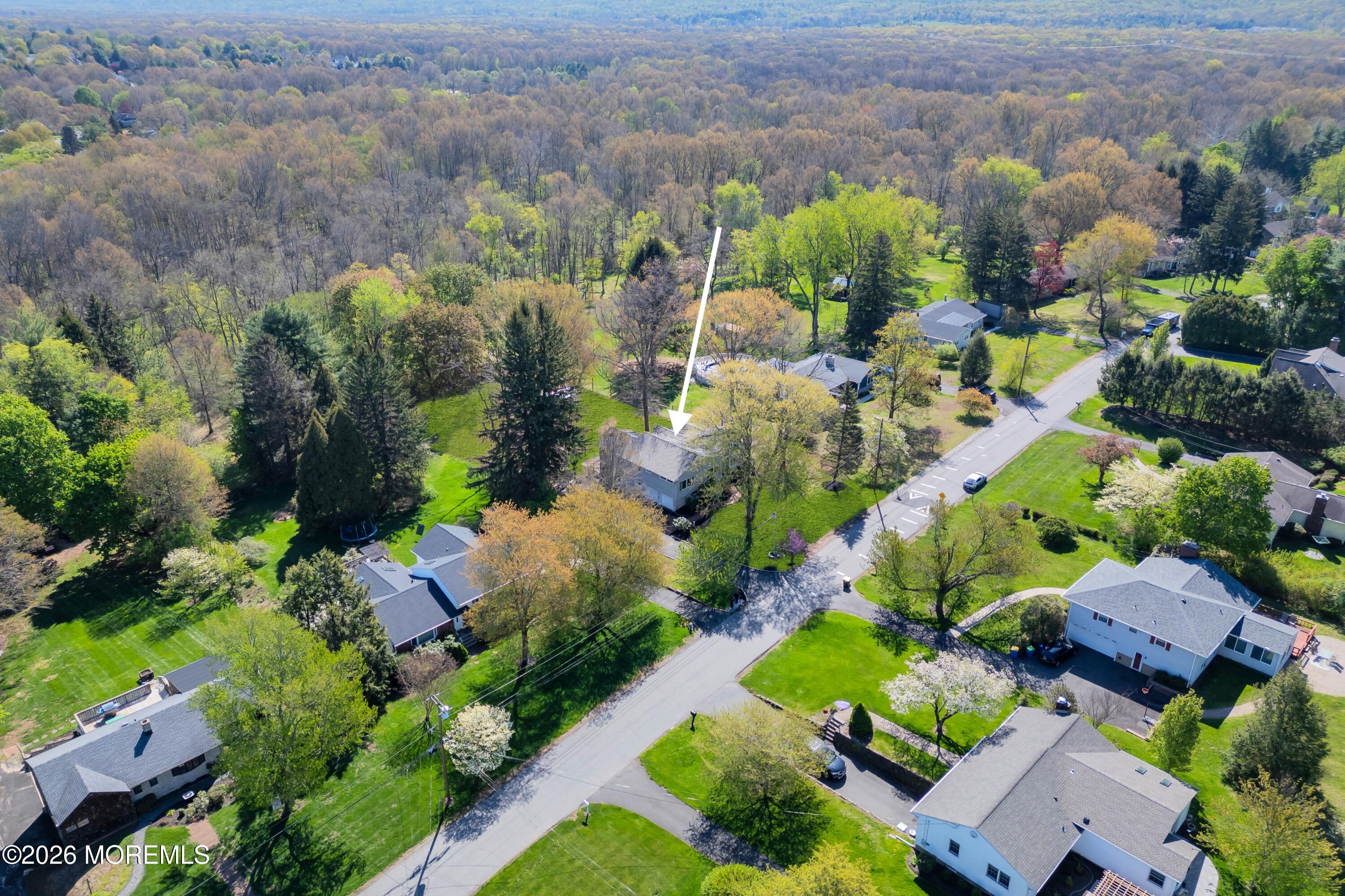 42 Crest Drive Basking Ridge, NJ 07920 - Photo 43 of 59 61-print-58-print-DJI_0006-1