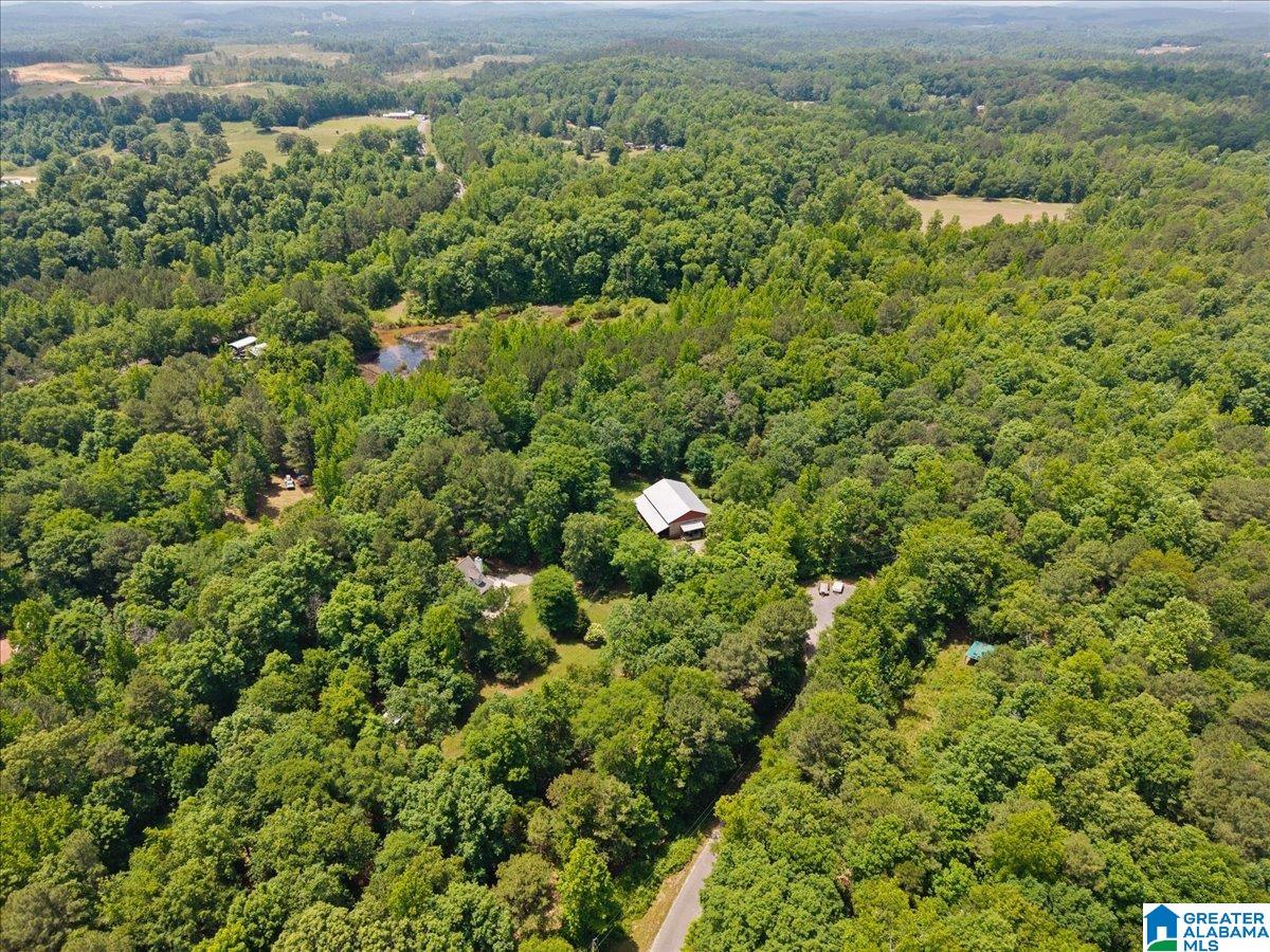 375 Turkey Run Lane Ragland, AL 35131 - Photo 43 of 46