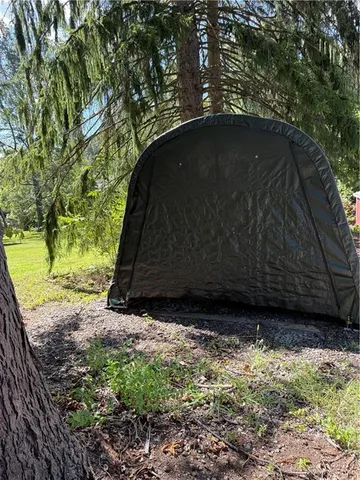 a view of backyard and green space