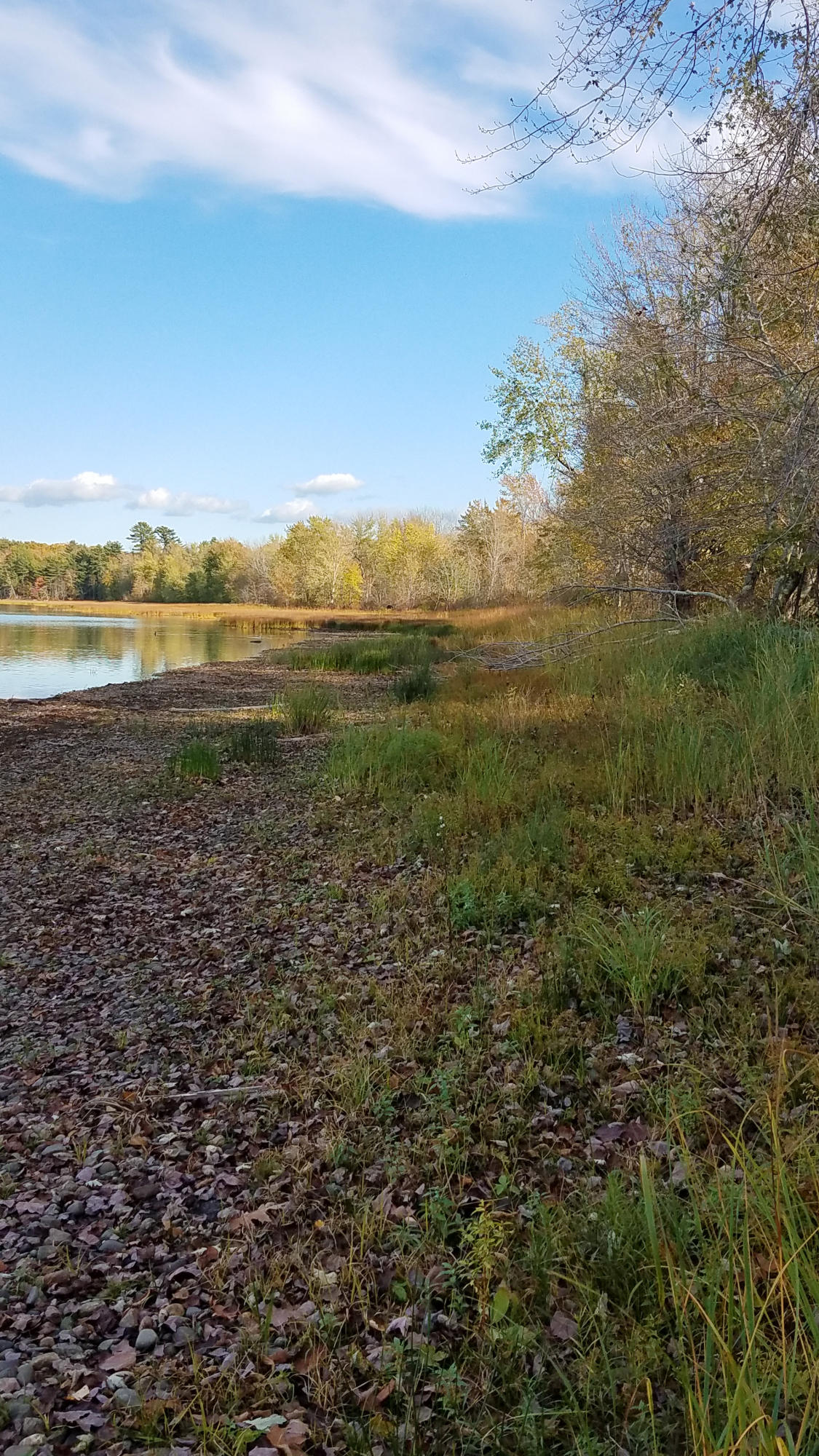 0 Marina Road Unity, ME 04988 - Photo 27 of 31 20201005_155410
