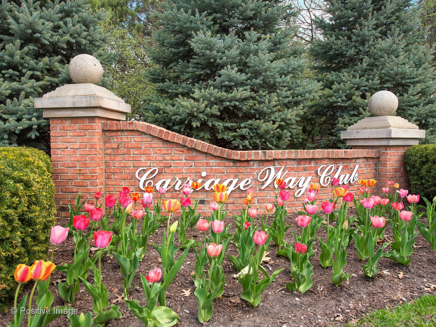 30 Old Mill Court Burr Ridge, IL 60527 - Photo 2 of 30