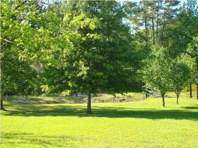 1535 State Rd S-15-143 Cottageville, SC 29435 - Photo 3 of 8 Additional Photo