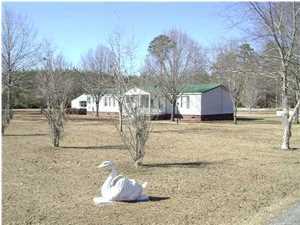 1535 State Rd S-15-143 Cottageville, SC 29435 - Photo 4 of 8 Additional Photo