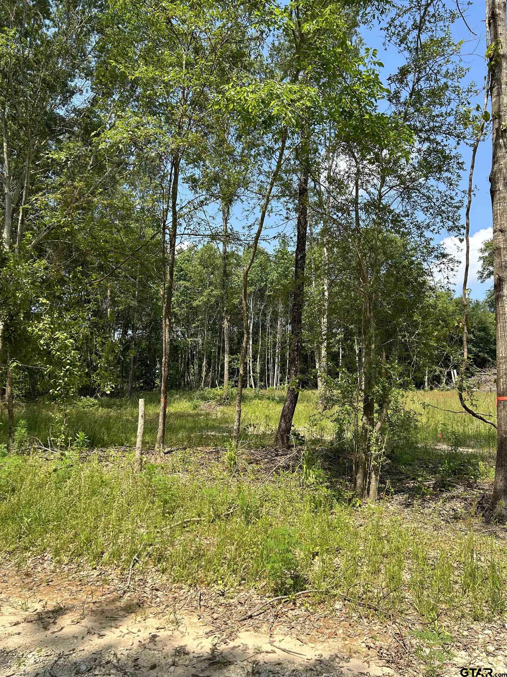 642 Loop 343 Rusk, TX 75785 - Photo 1 of 1 Gallery Image 1