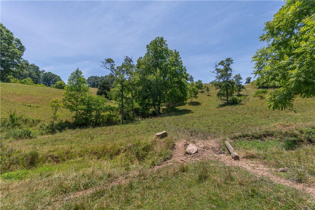 2854 Rabbit Skin Road Waynesville, NC 28785 - Photo 2 of 29 a view of a field with an trees