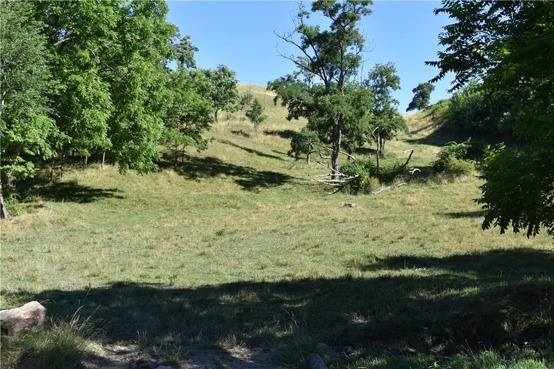 2854 Rabbit Skin Road Waynesville, NC 28785 - Photo 5 of 29 a view of outdoor space and yard