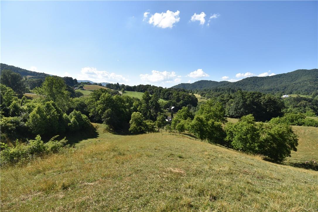 2854 Rabbit Skin Road Waynesville, NC 28785 - Photo 9 of 29 a view of a lush green forest with mountains in the background