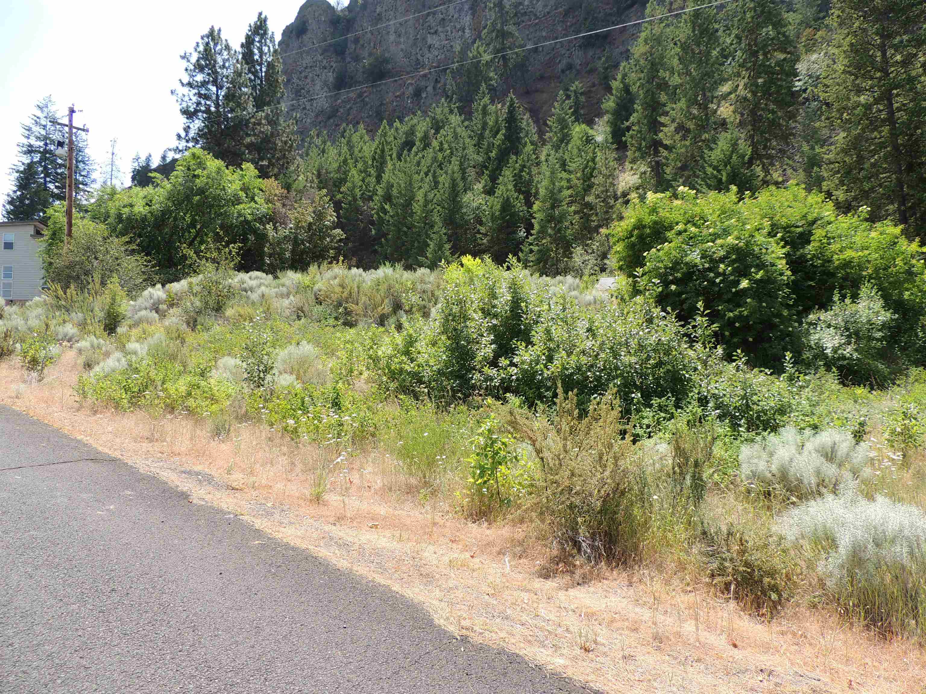 Xx East Mill Road, Unit LOT 24 Lincoln, WA 99147 - Photo 5 of 15 Gallery Image 5