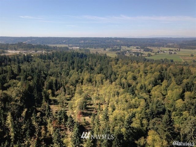 19119 North High Rock Road Monroe, WA 98272 - Photo 1 of 7 Gallery Image 1