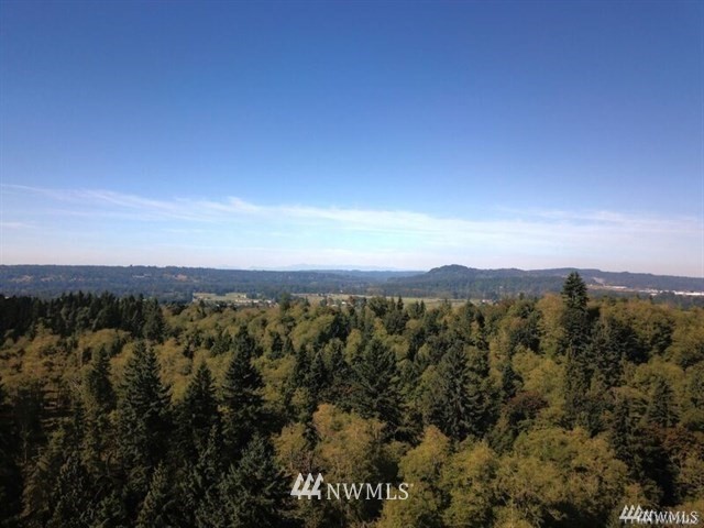 19119 North High Rock Road Monroe, WA 98272 - Photo 3 of 7 Gallery Image 3