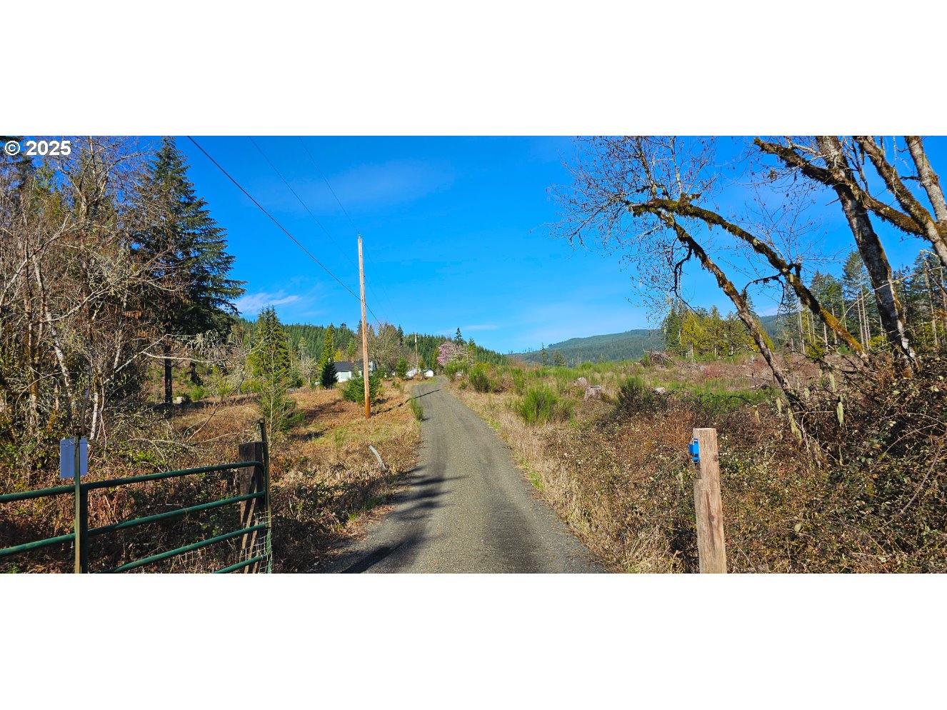 36692 Parsons Creek Road Springfield, OR 97478 - Photo 4 of 9 Gallery Image 4