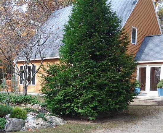 38 Hardwick Road Petersham, MA 01366 - Photo 1 of 11