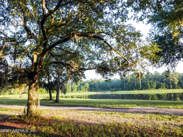 a view of a yard with large trees