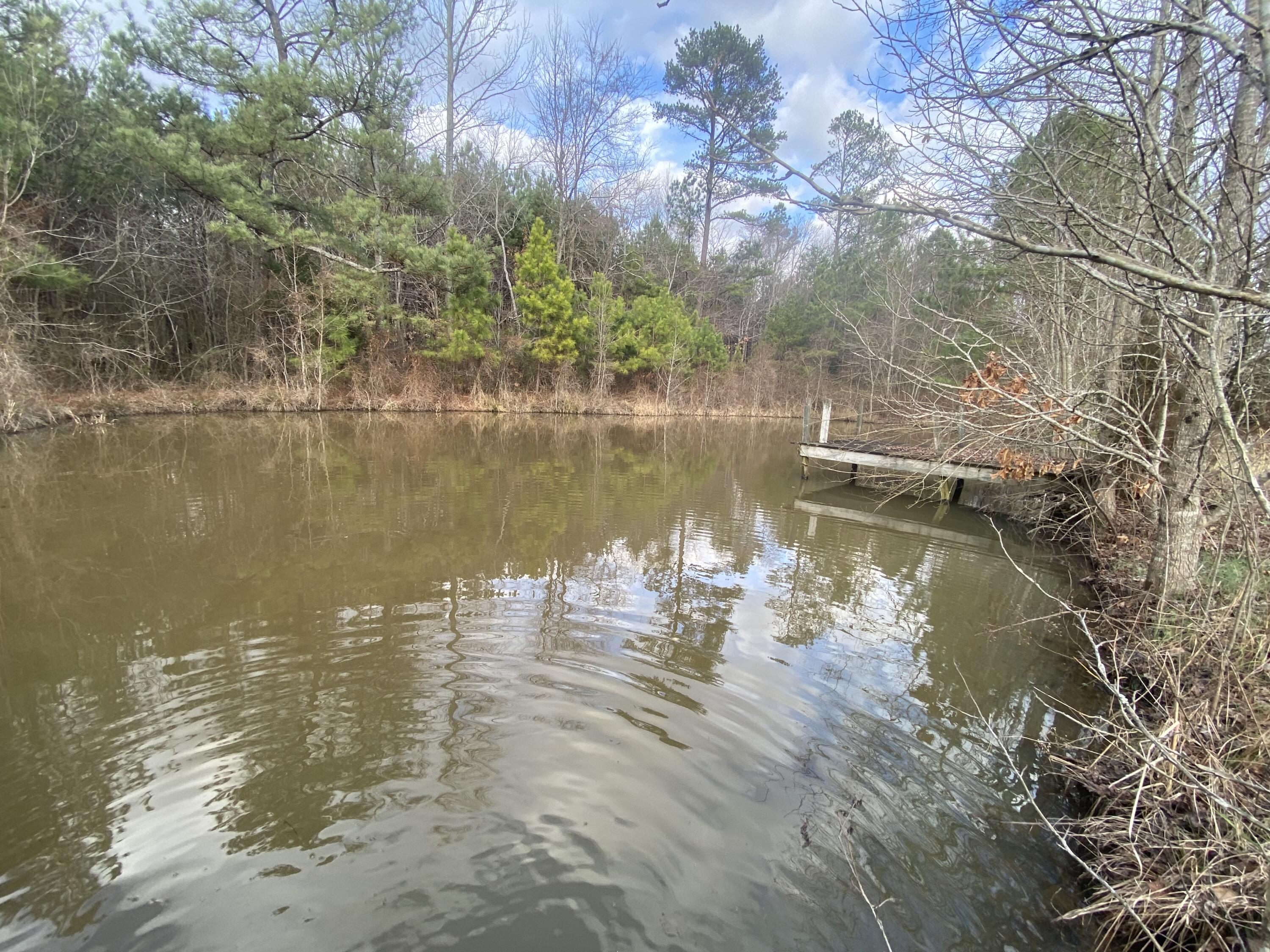 0 Fletcher Road Tunnel Hill, GA 30755 - Photo 1 of 11 80F0DD25-DEF7-41FE-B585-A174AAD444E5