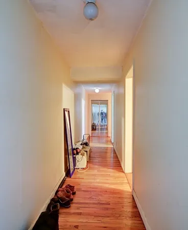 a view of a hallway with wooden floor and a potted plant