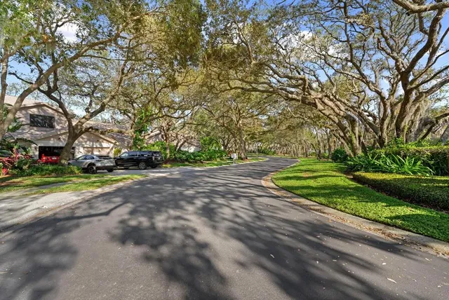 a view of park with large trees