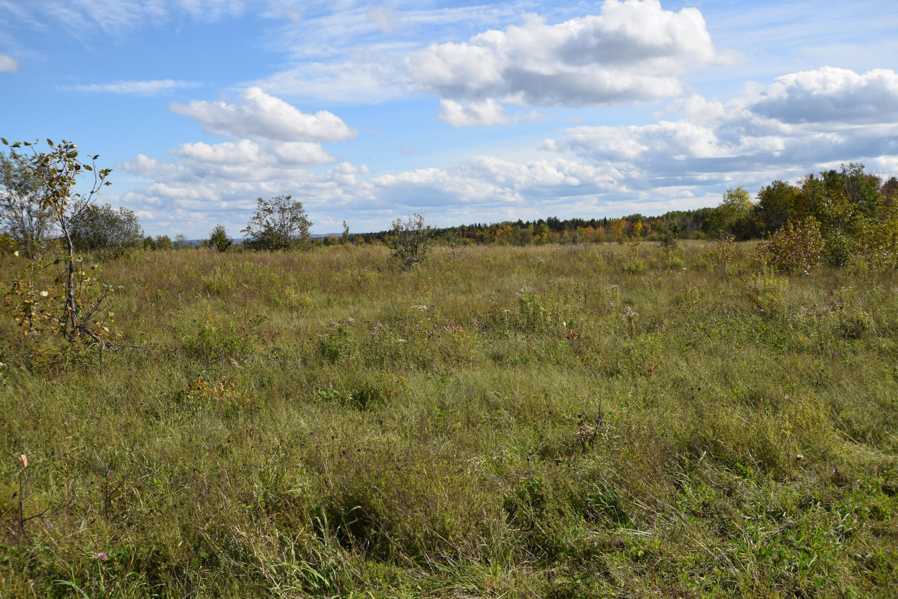 Lot 5 Barleyville Road Patten, ME 04765 - Photo 23 of 45 Fields...