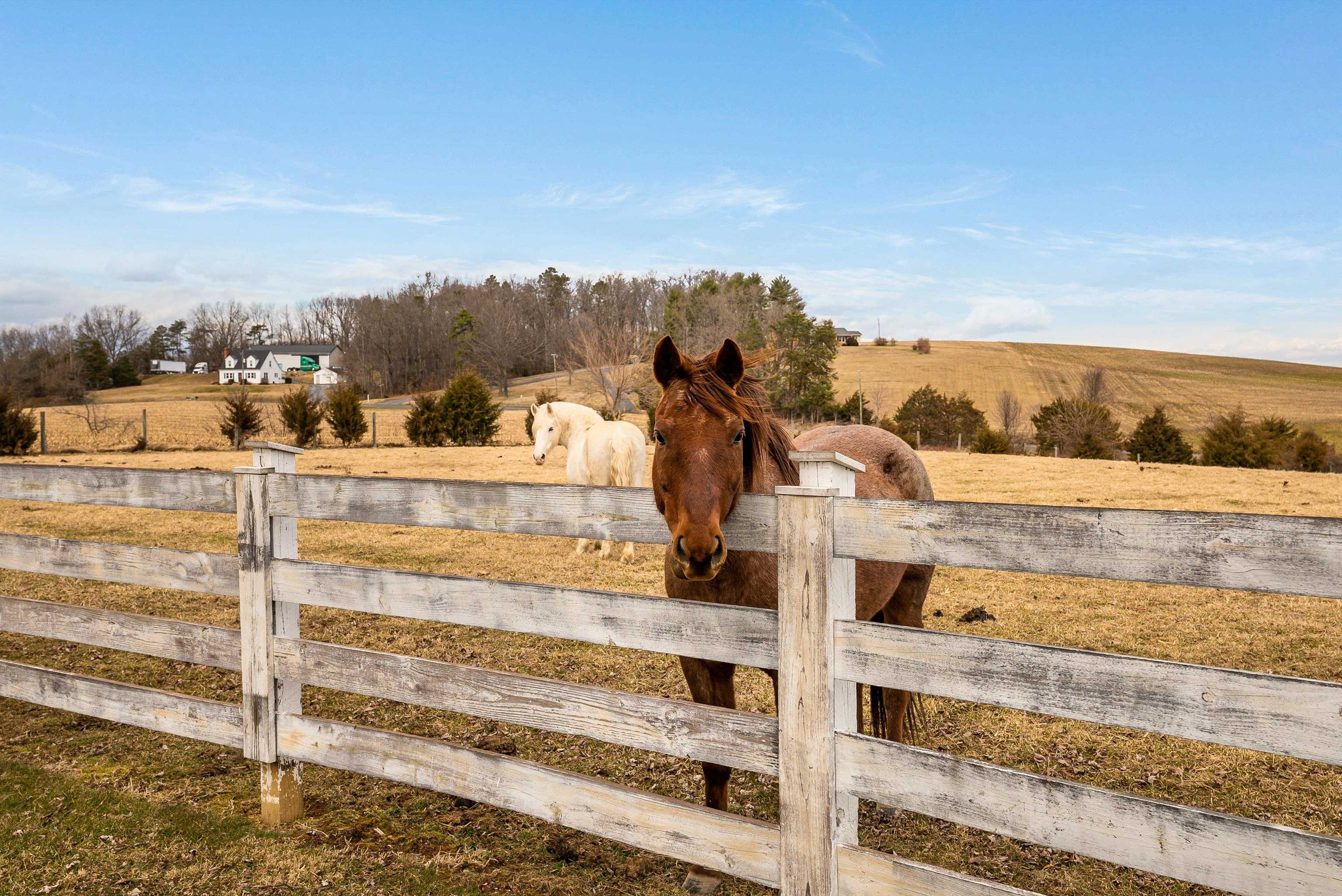 1577 Dam Town Road Fort Defiance, VA 24437 - Photo 44 of 68
