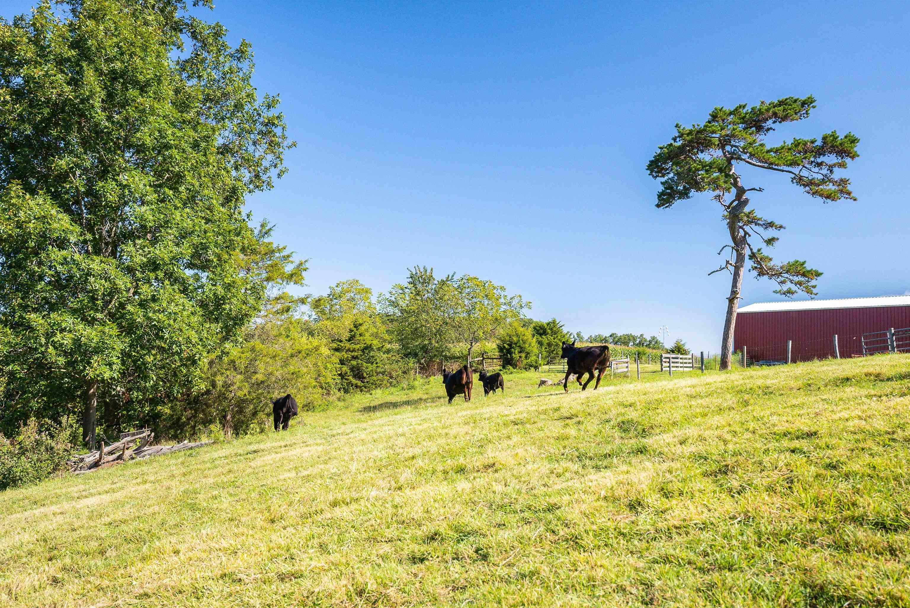 1577 Dam Town Road Fort Defiance, VA 24437 - Photo 61 of 68