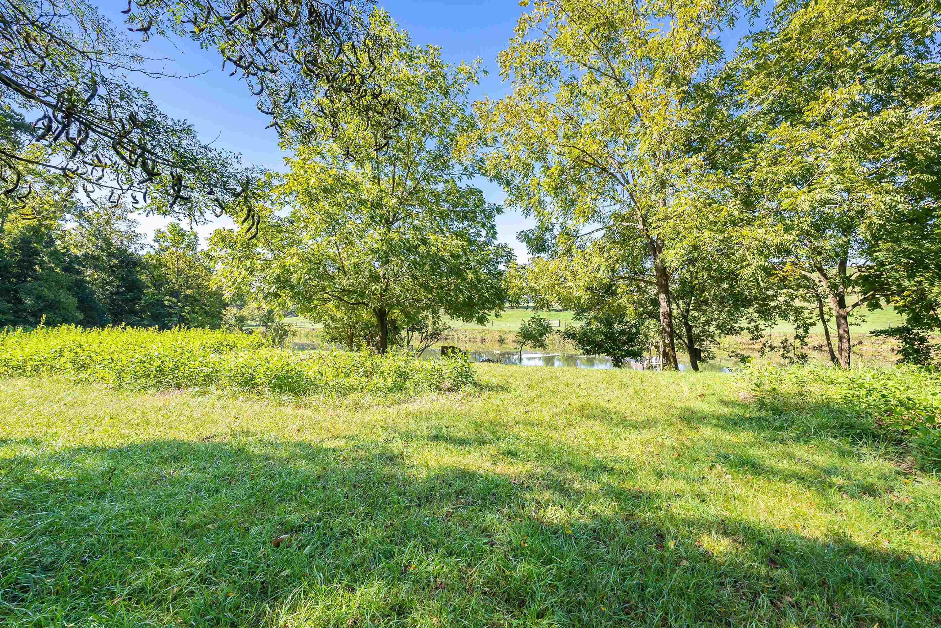 1577 Dam Town Road Fort Defiance, VA 24437 - Photo 65 of 68