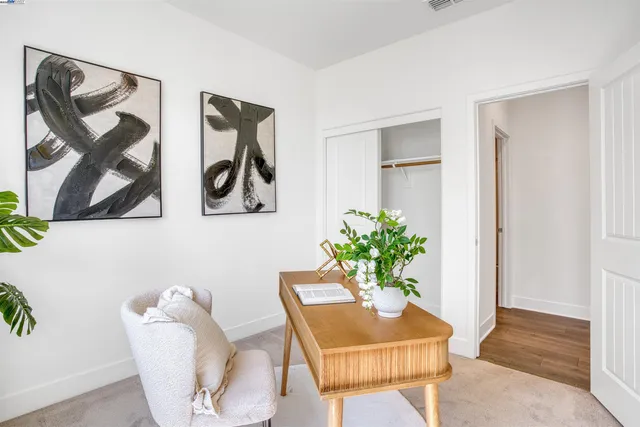 a room with a potted plant and a rug