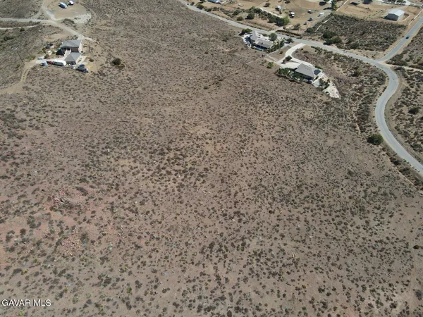 a close up of a plant