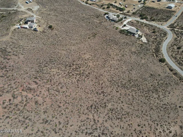 a close up of a plant