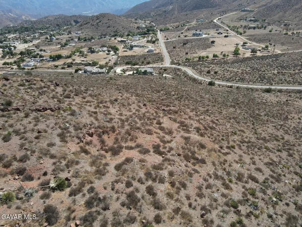 a view of a dry yard with trees and bushes
