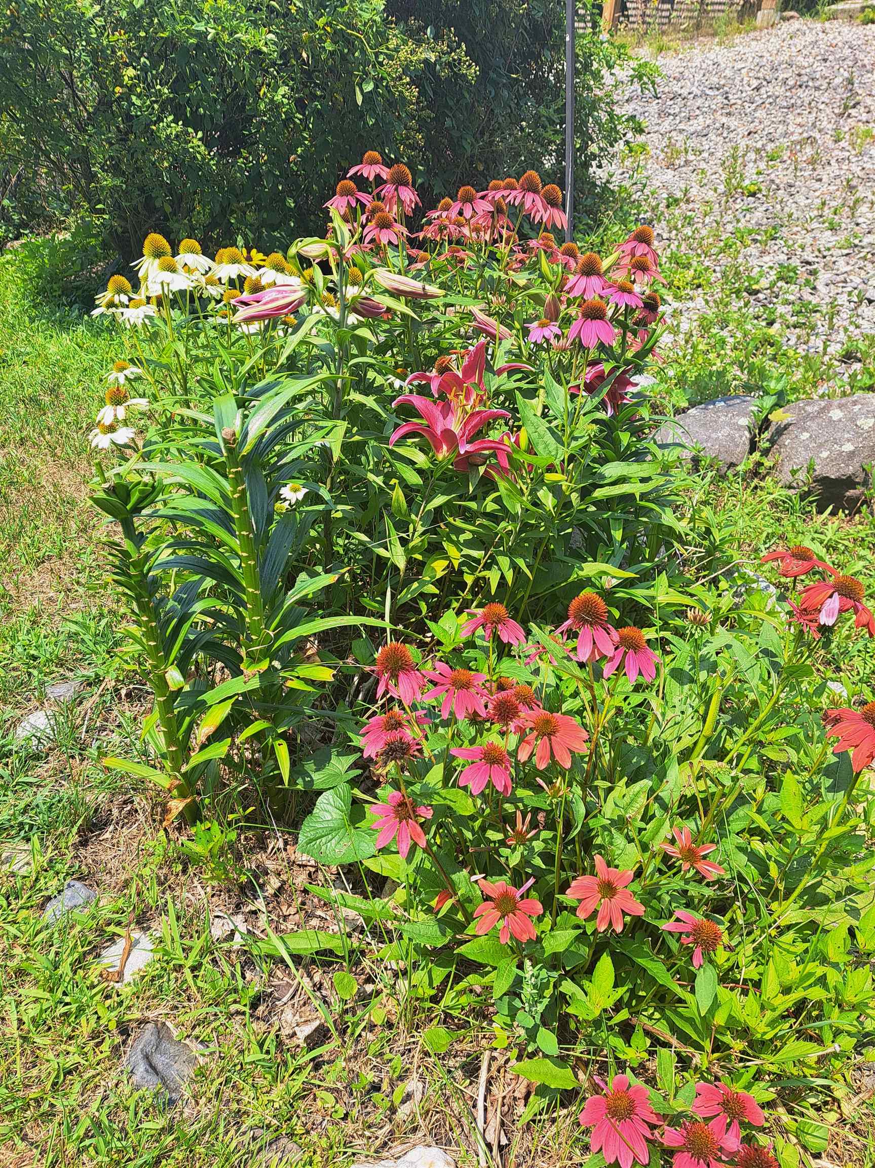 505 Prospect Street Franklin, NH 03235 - Photo 58 of 60