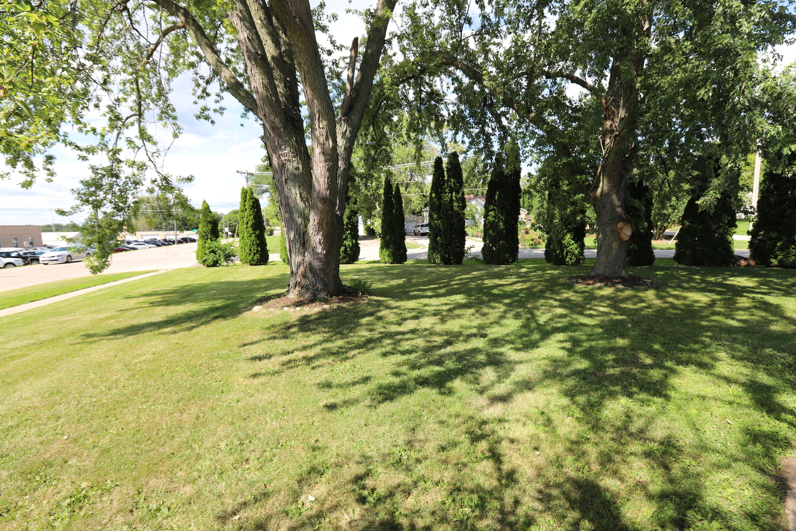 1103 Garfield Road Harvard, IL 60033 - Photo 24 of 28 a big yard with trees