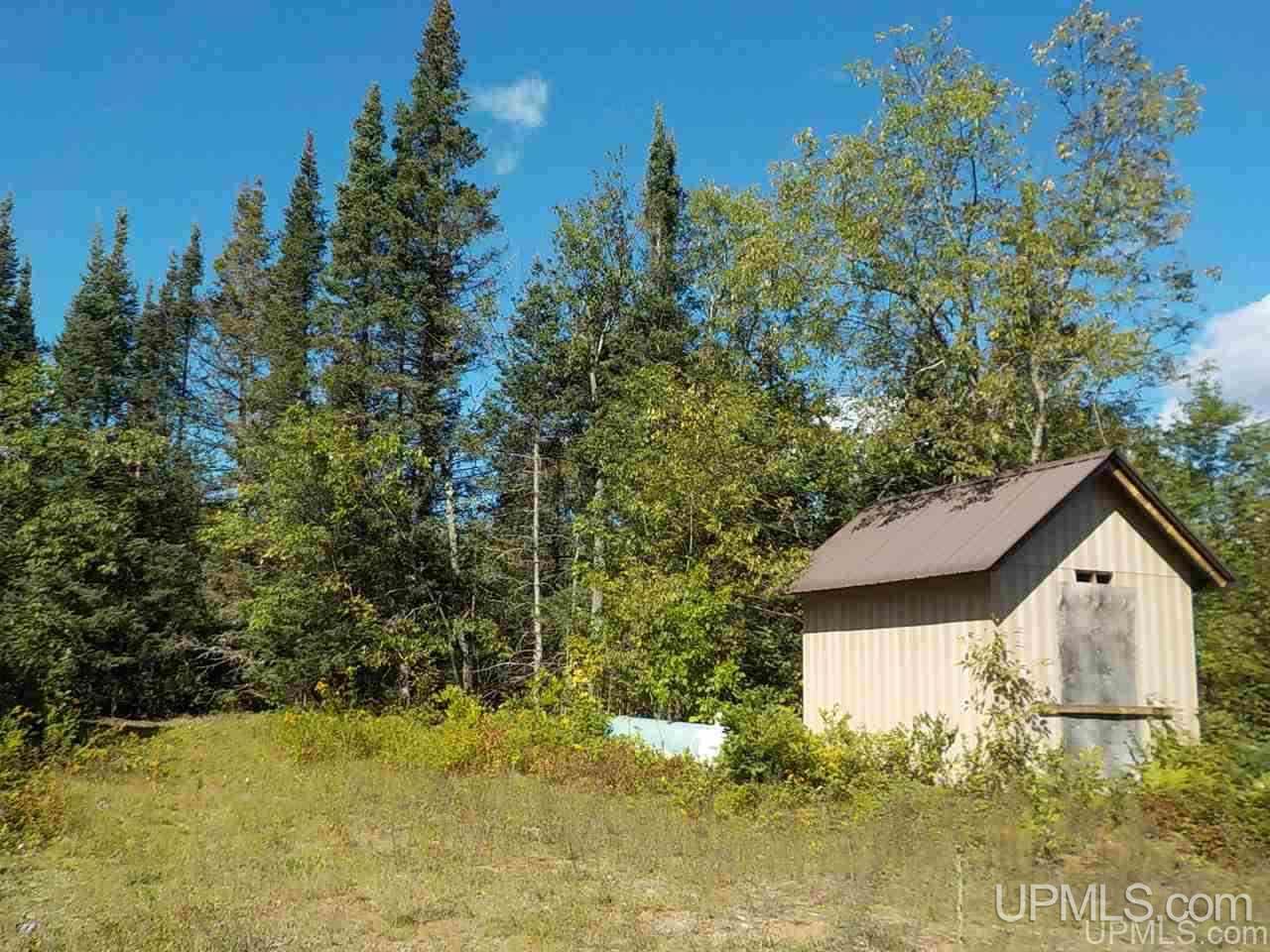 Tbd Parks Farm Road Iron River, MI 49920 - Photo 3 of 31