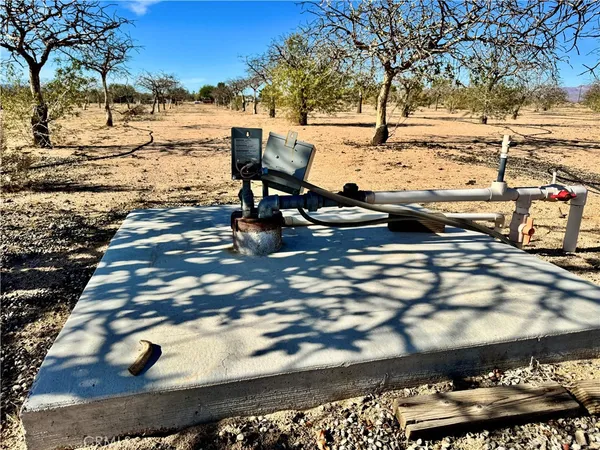 a view of road with large trees