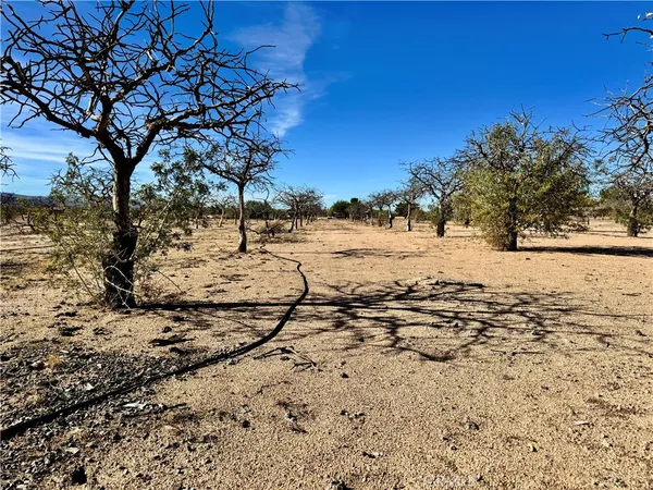 a view of car parked on the side of the road