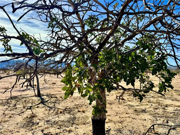 a view of a ocean view