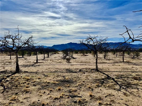 $275,000 | 44823 Silver Valley Road, Newberry Springs, CA 92365