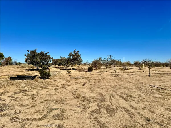 $275,000 | 44823 Silver Valley Road, Newberry Springs, CA 92365