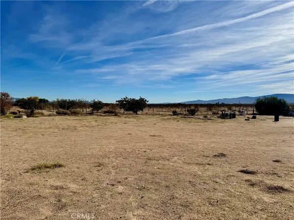 $275,000 | 44823 Silver Valley Road, Newberry Springs, CA 92365