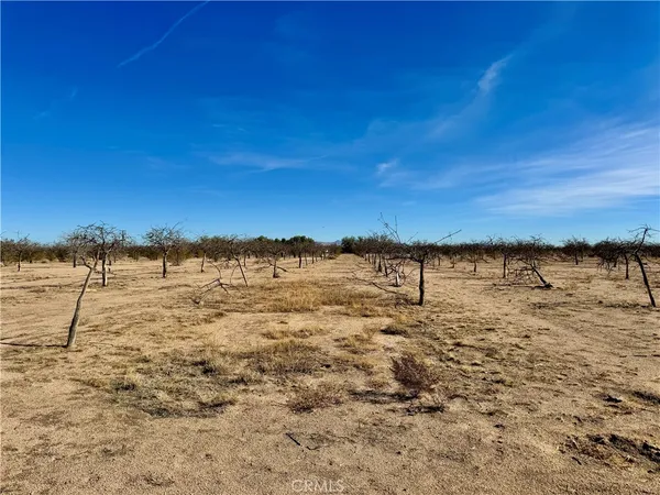 $275,000 | 44823 Silver Valley Road, Newberry Springs, CA 92365