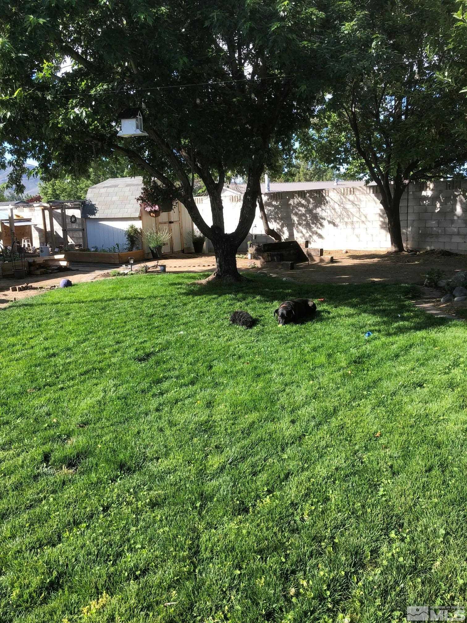 17345 Sunbird Lane Reno, NV 89508 - Photo 29 of 40 a view of backyard with green space