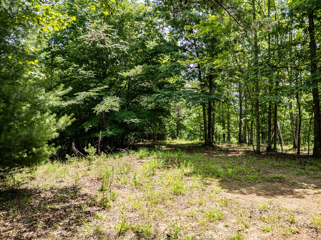 2 Stormy Ridge Brasstown, NC 28902 - Photo 5 of 16