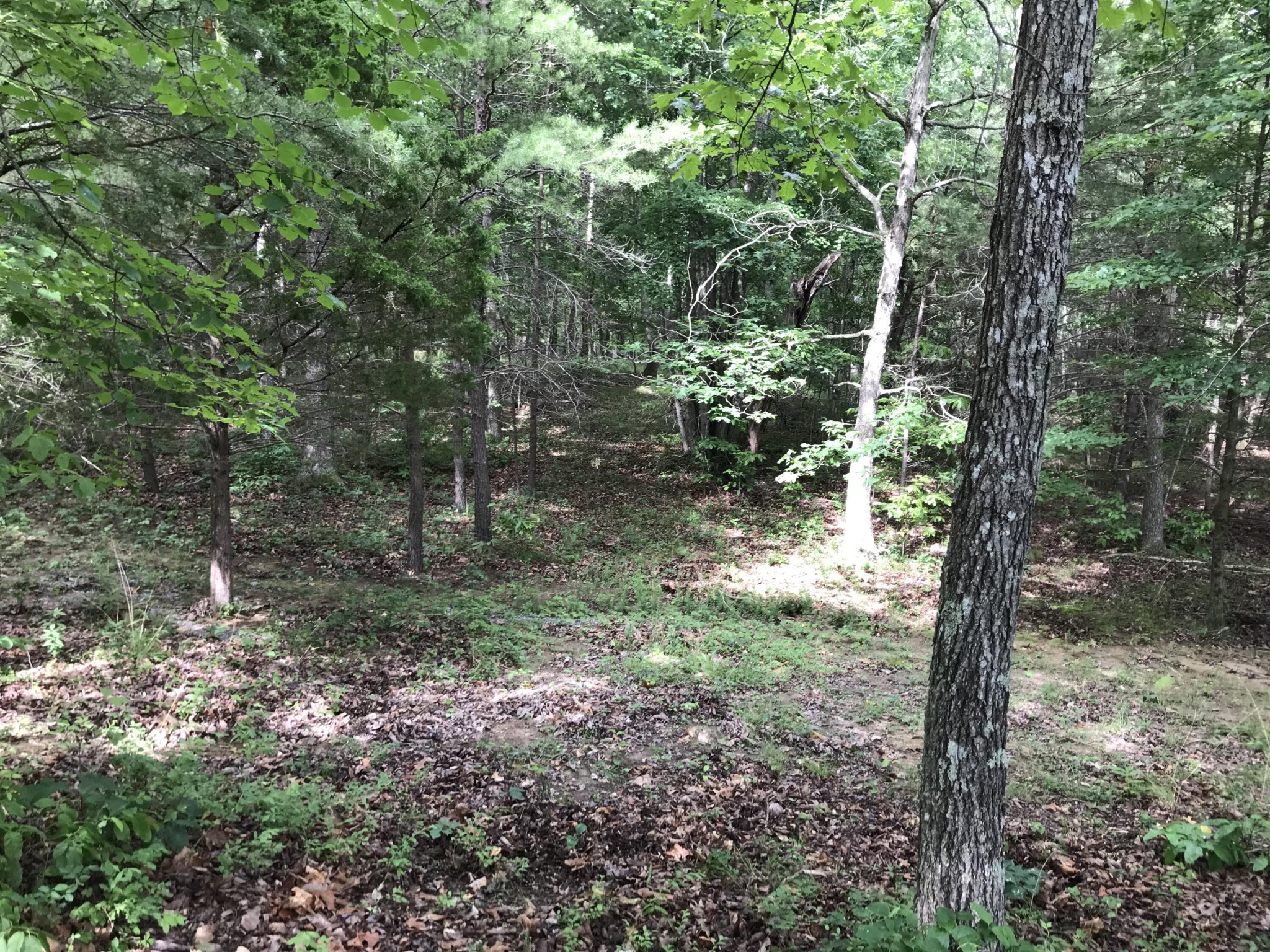 0 Quail Trail Dunlap, TN 37327 - Photo 28 of 36