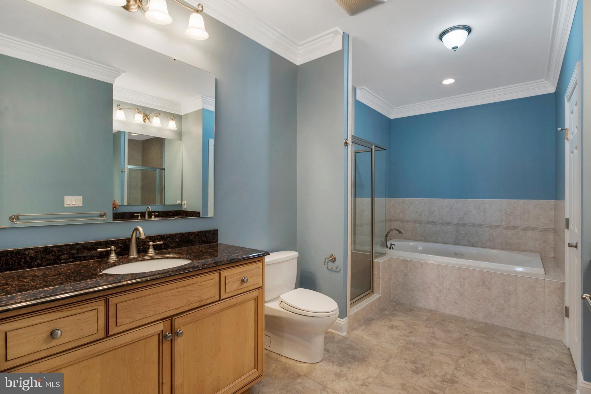 38946 Van Ward Road Abell, MD 20606 - Photo 38 of 80 Master Bath
