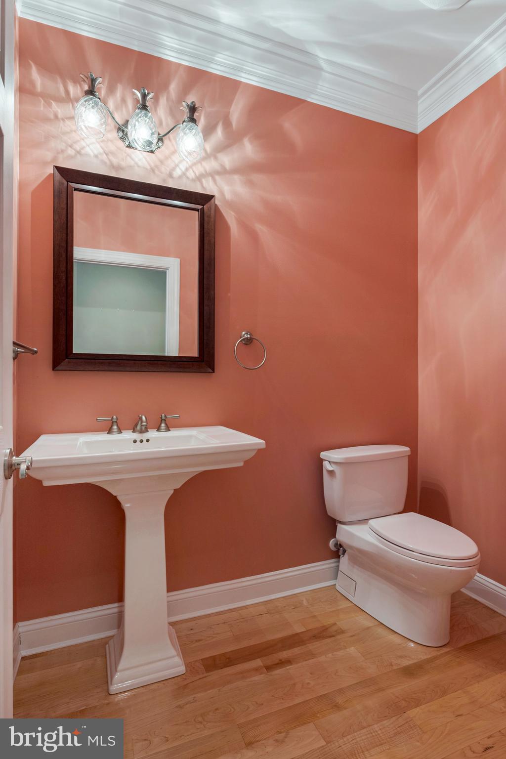 38946 Van Ward Road Abell, MD 20606 - Photo 62 of 80 1st Floor Powder Room