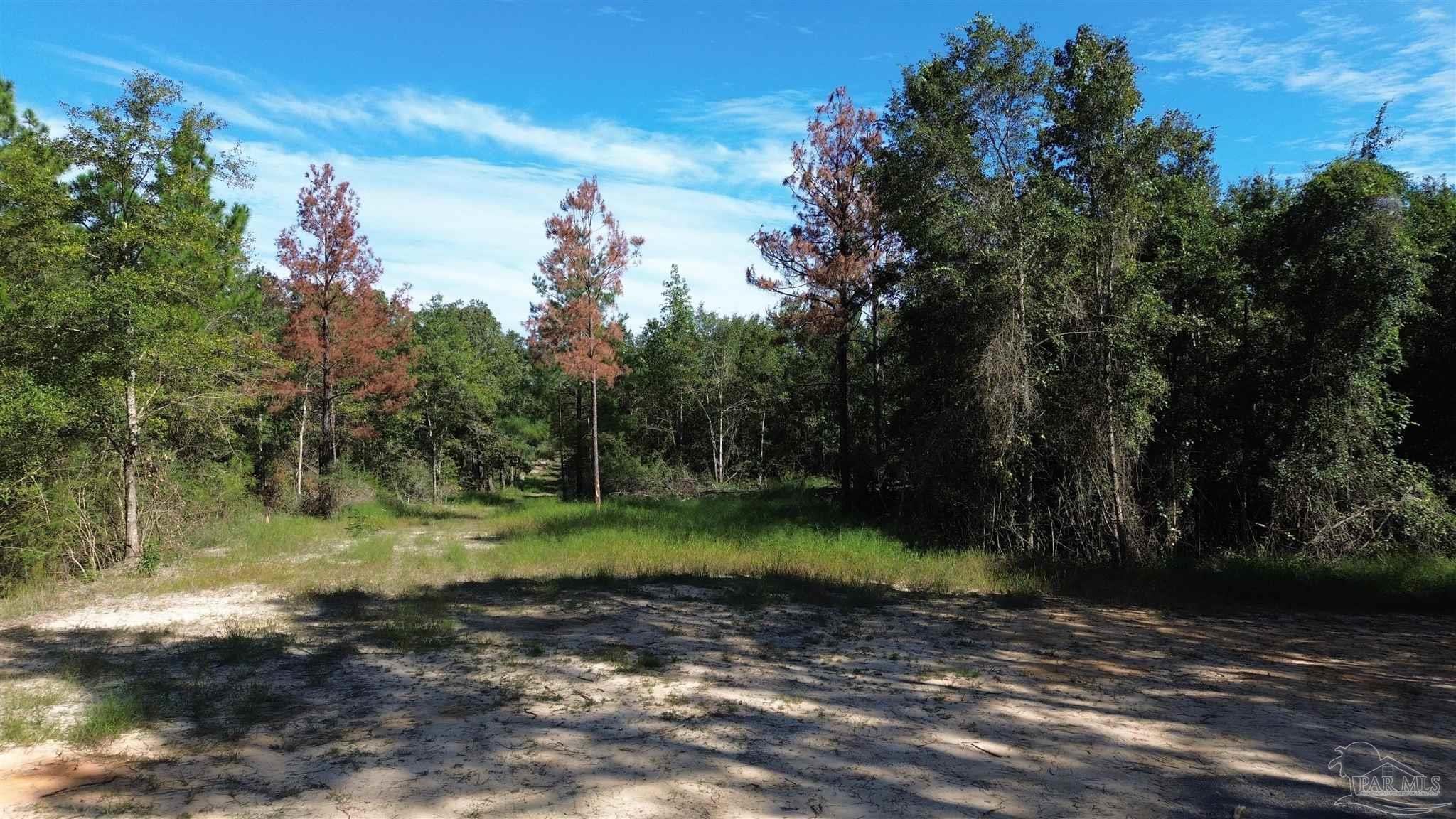 4 Gin Road Pace, FL 32571 - Photo 2 of 11 a view of a yard