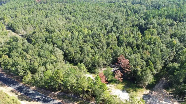 an aerial view of residential house with outdoor space and trees all around