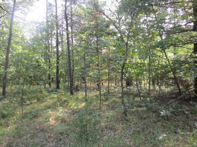 1234 West Wilson Road Indian River, MI 49749 - Photo 1 of 3 Gallery Image 1