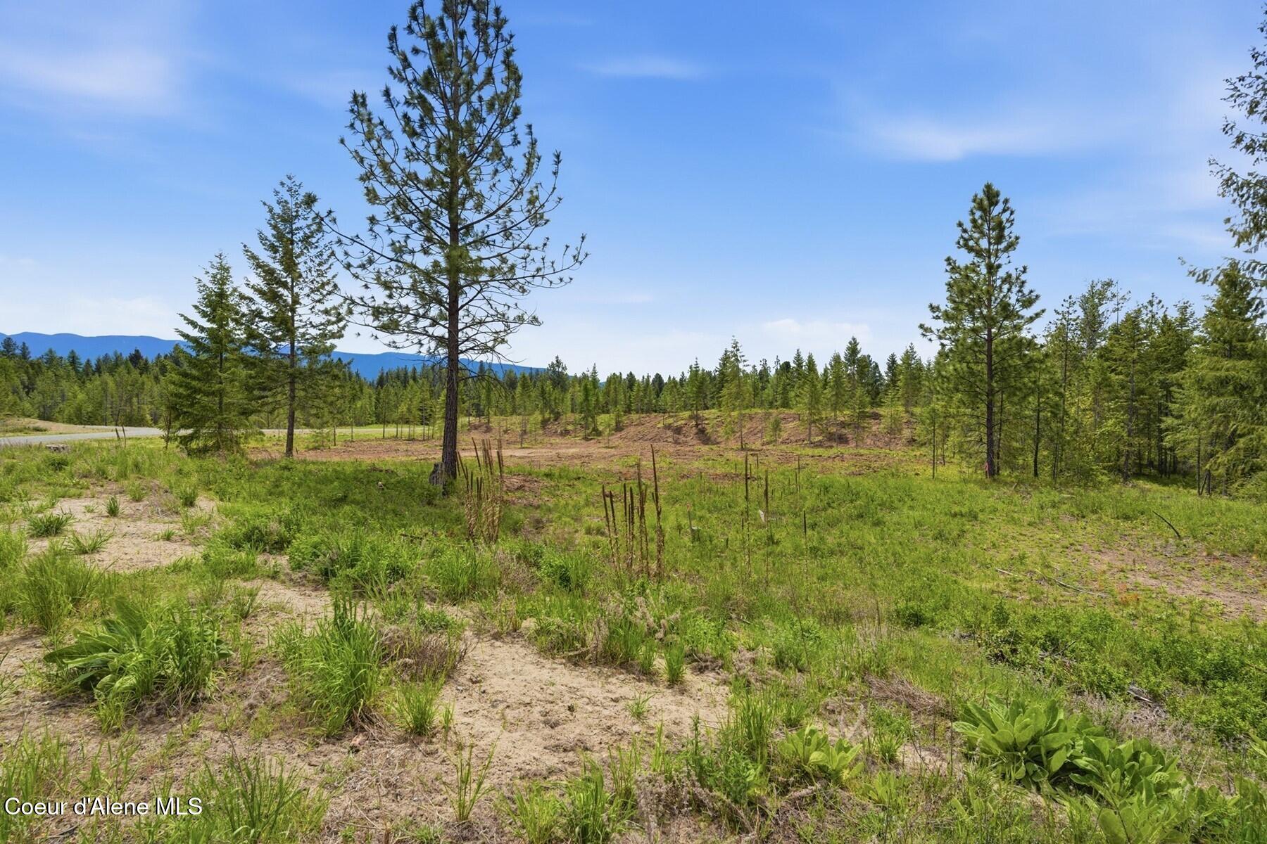 Lot 3 Poulton Way Bonners Ferry, ID 83805 - Photo 11 of 23 86465012