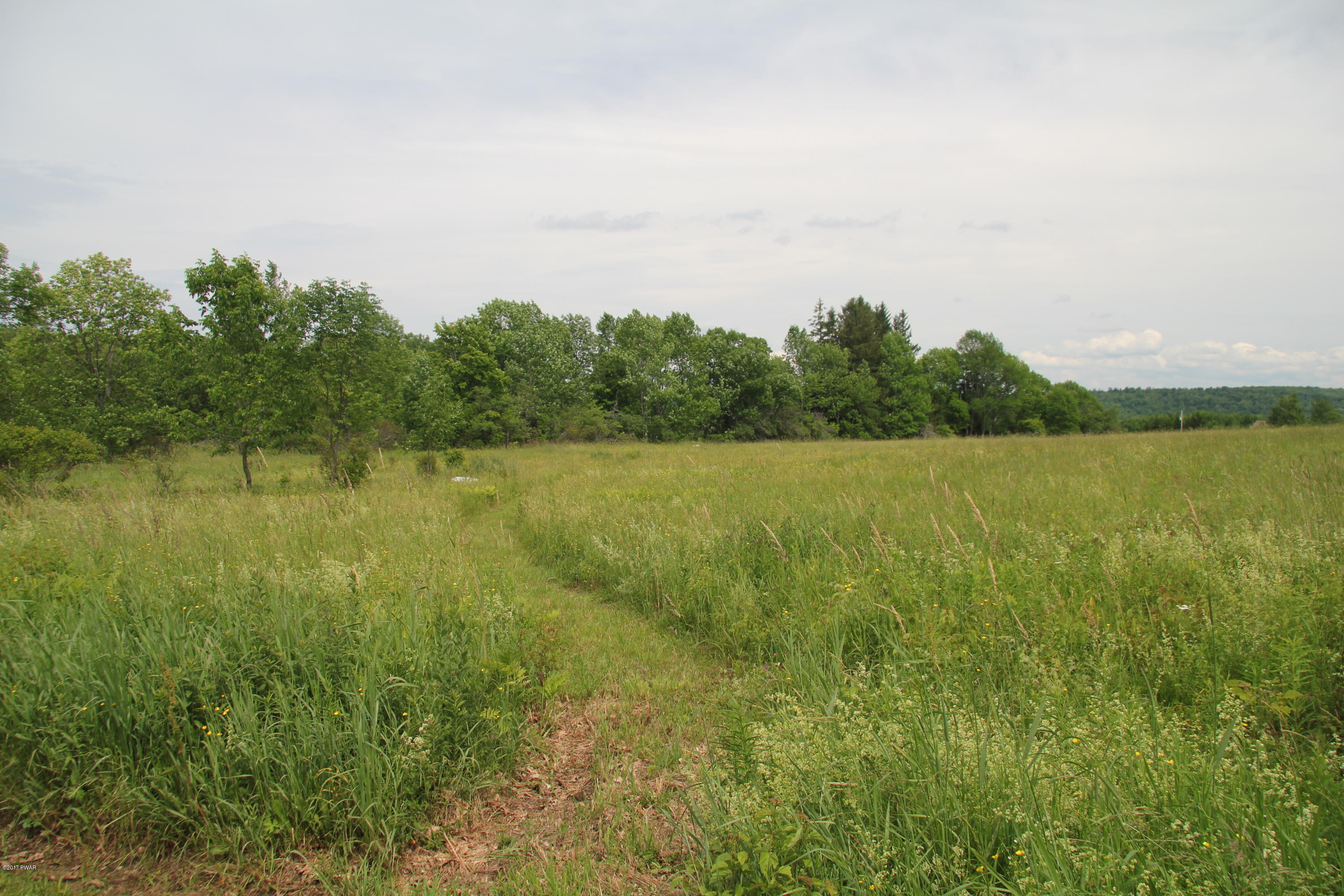 553 King Hill Road Starrucca, PA 18462 - Photo 9 of 11