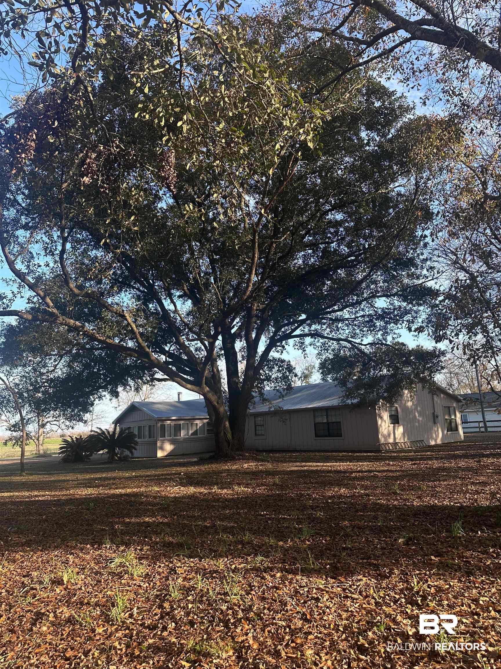 16646 County Road 26 Foley, AL 36535 - Photo 2 of 21 View of yard