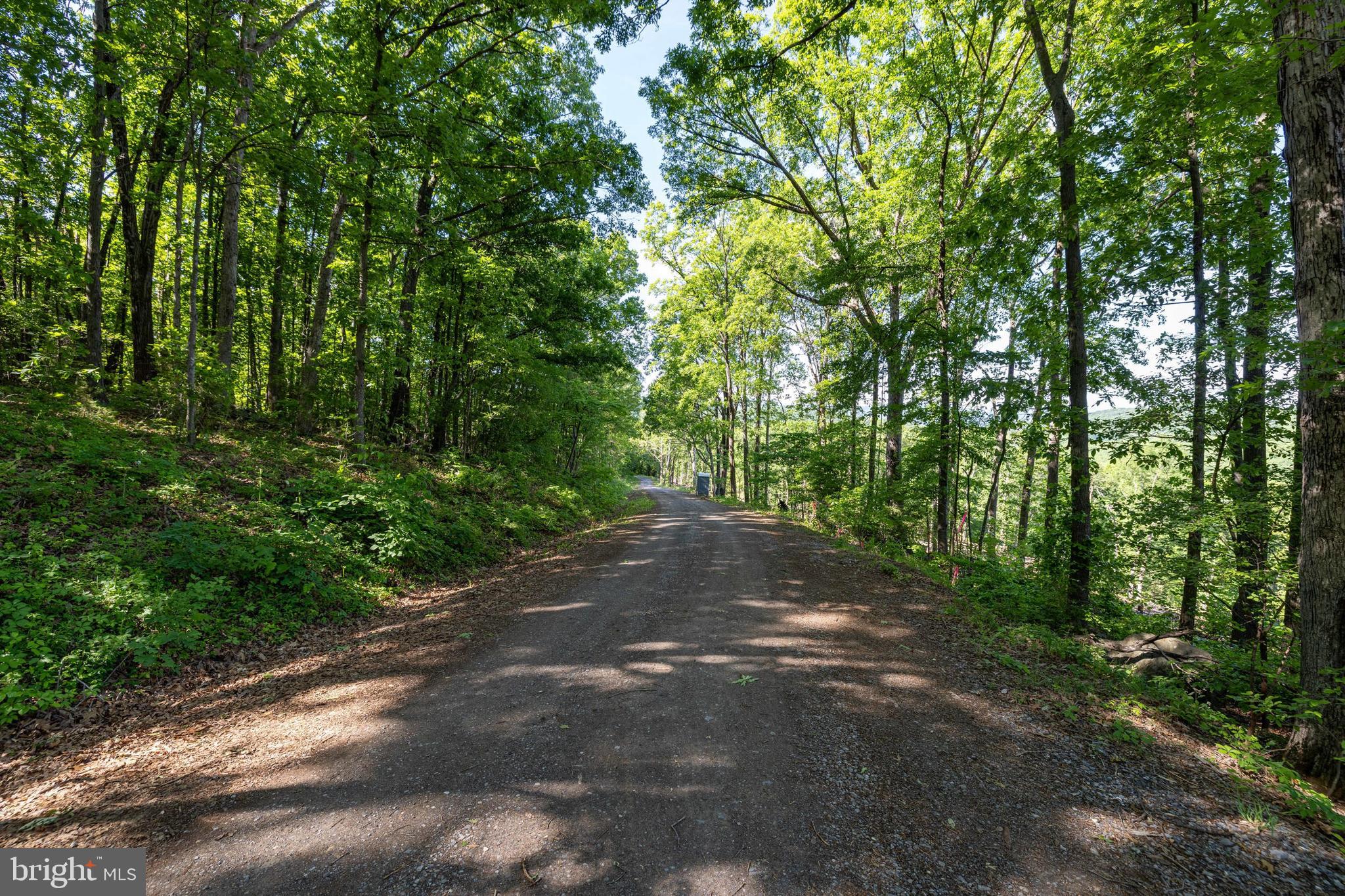 0 Cross Mountain Road Luray, VA 22835 - Photo 31 of 51